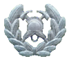 Sheffield Police FB Badge